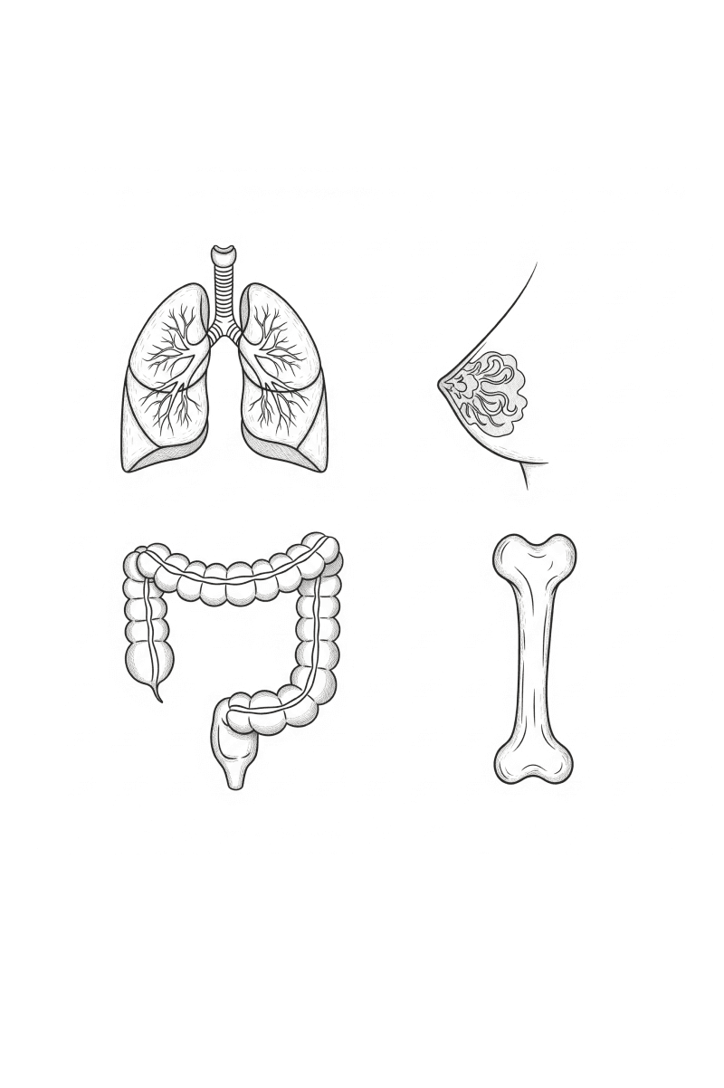 Oncology medical illustration