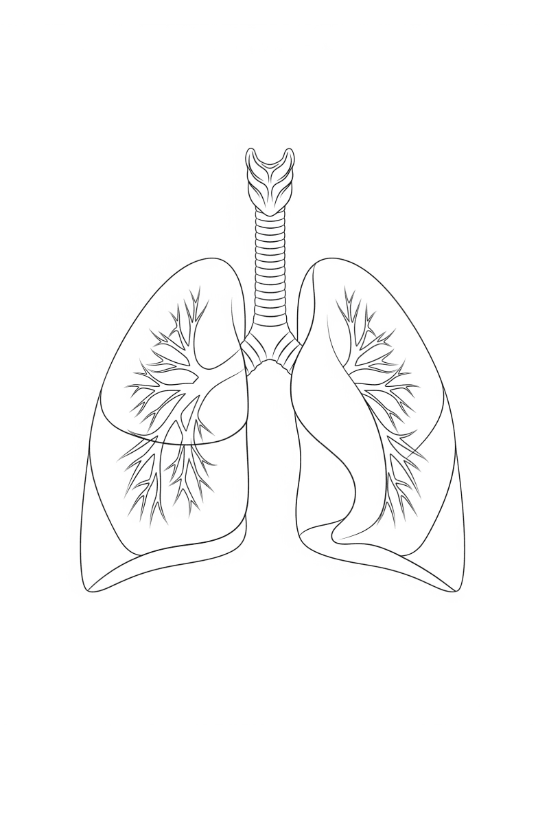 Pulmonology medical illustration